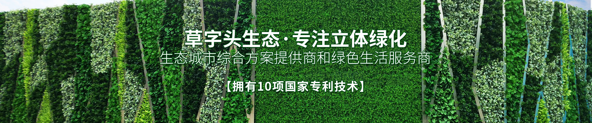 湖南草字頭生態(tài)環(huán)境建設(shè)有限公司|專(zhuān)注于生態(tài)修復(fù)和綠化環(huán)保事業(yè)