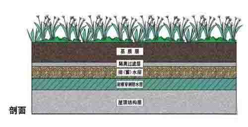 湖南草字頭生態(tài)環(huán)境建設有限公司,人造草坪假草皮,湖南雨水收集處理工藝